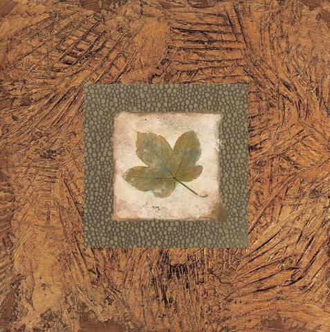 Sedona Naturals B Black Ornate Wood Framed Art Print with Double Matting by Alexander, Zachary