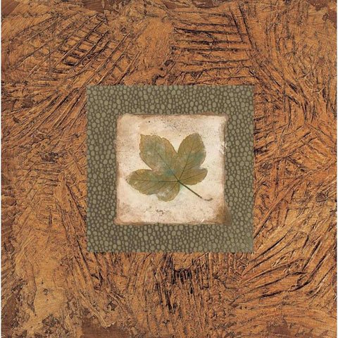 Sedona Naturals B Gold Ornate Wood Framed Art Print with Double Matting by Alexander, Zachary