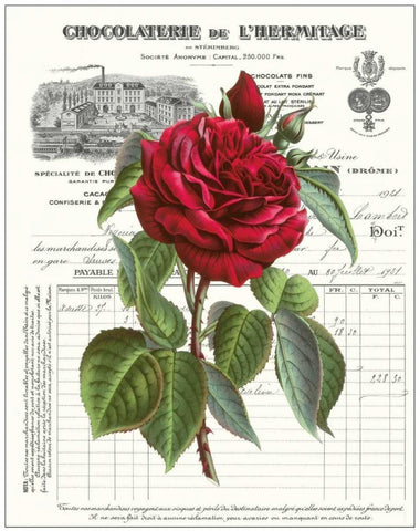 Heirloom Roses A White Modern Wood Framed Art Print with Double Matting by Chilton, Sarah E
