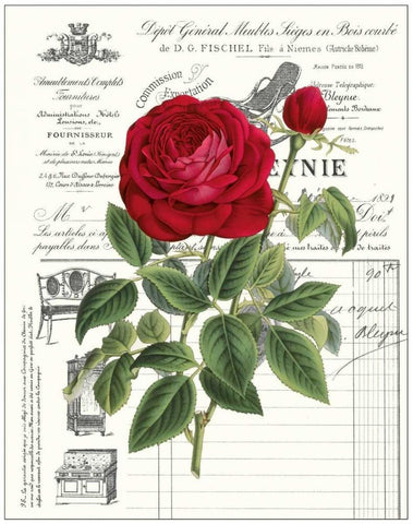 Heirloom Roses B White Modern Wood Framed Art Print with Double Matting by Chilton, Sarah E