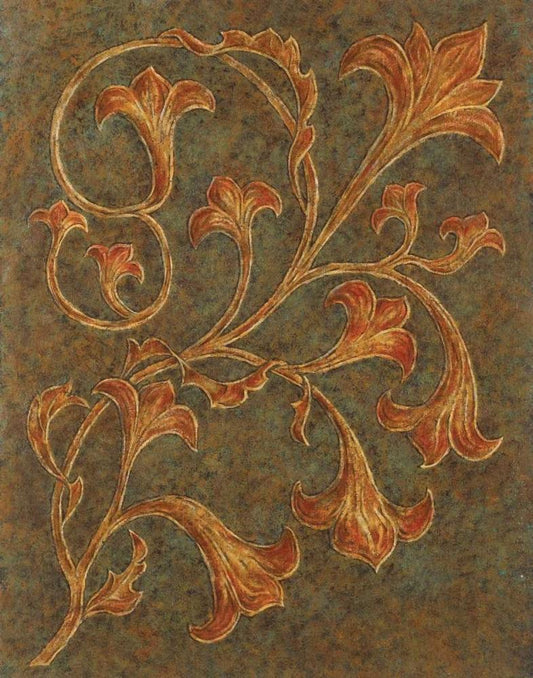 Image Only