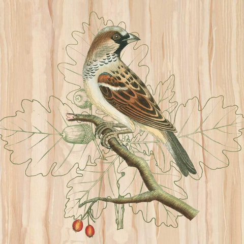 Treetops III Black Ornate Wood Framed Art Print with Double Matting by Reynolds, Alastair