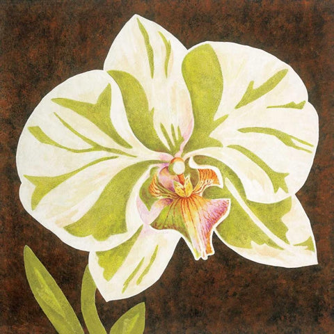 Surabaya Orchid Petites A Gold Ornate Wood Framed Art Print with Double Matting by Shelby, Judy