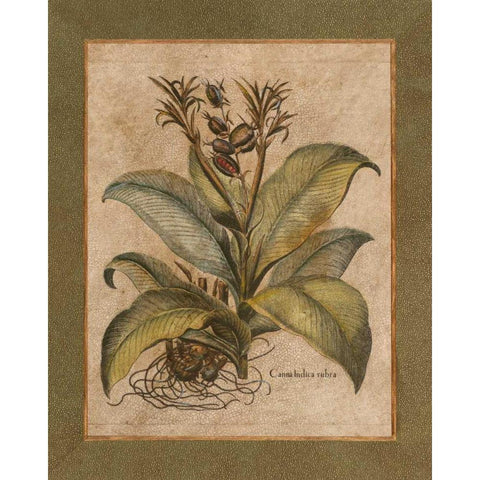 Valencia I Gold Ornate Wood Framed Art Print with Double Matting by Alexander, Zachary