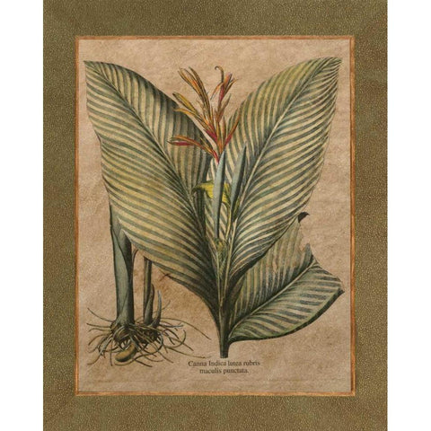 Valencia II Black Modern Wood Framed Art Print with Double Matting by Alexander, Zachary