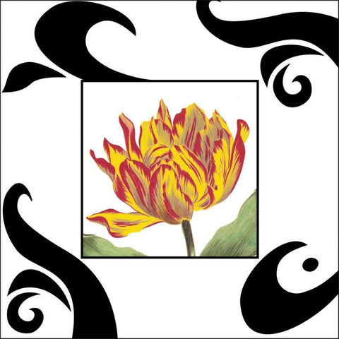 Enchanted Evening I Black Ornate Wood Framed Art Print with Double Matting by Davies, Susan