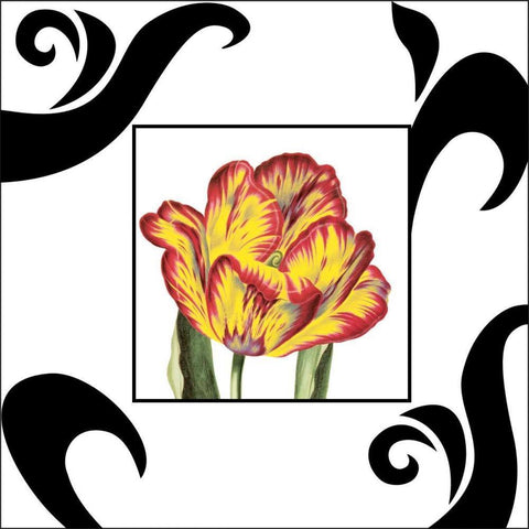 Enchanted Evening II Black Modern Wood Framed Art Print with Double Matting by Davies, Susan