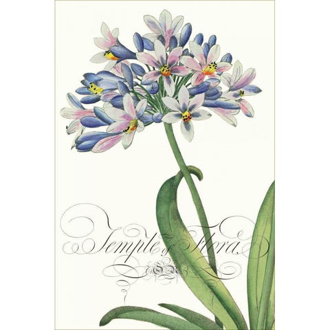 Modern Atelier I White Modern Wood Framed Art Print by Chilton, Sarah E