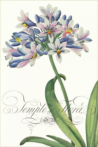 Modern Atelier I White Modern Wood Framed Art Print with Double Matting by Chilton, Sarah E