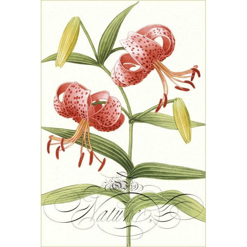 Modern Atelier II White Modern Wood Framed Art Print by Chilton, Sarah E