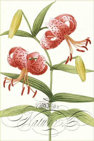 Modern Atelier II White Modern Wood Framed Art Print with Double Matting by Chilton, Sarah E