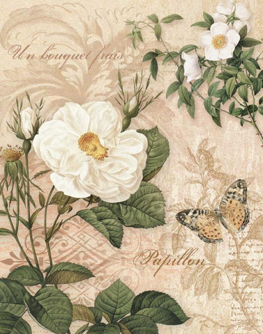 Gardeners Gift II White Modern Wood Framed Art Print with Double Matting by Han, Ching