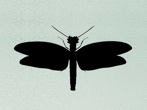 Wind Songs II Black Ornate Wood Framed Art Print with Double Matting by Ziffer, Josef