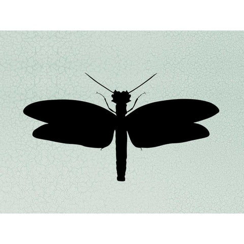 Wind Songs II Black Modern Wood Framed Art Print by Ziffer, Josef