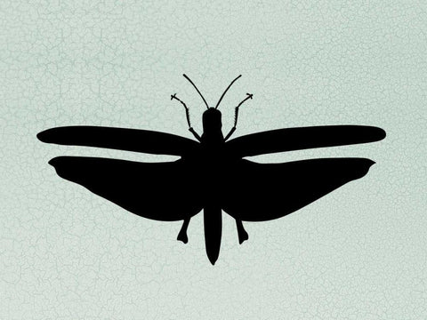 Wind Songs III White Modern Wood Framed Art Print with Double Matting by Ziffer, Josef