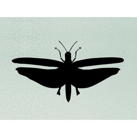 Wind Songs III Black Modern Wood Framed Art Print by Ziffer, Josef