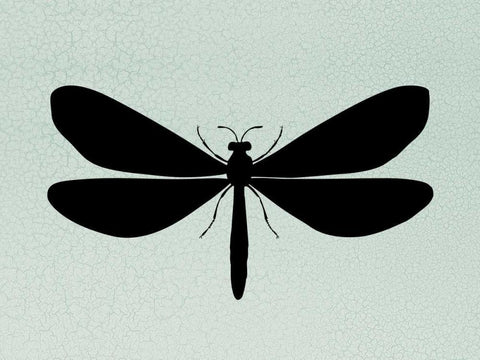 Wind Songs IV White Modern Wood Framed Art Print with Double Matting by Ziffer, Josef