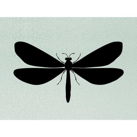 Wind Songs IV Black Modern Wood Framed Art Print with Double Matting by Ziffer, Josef