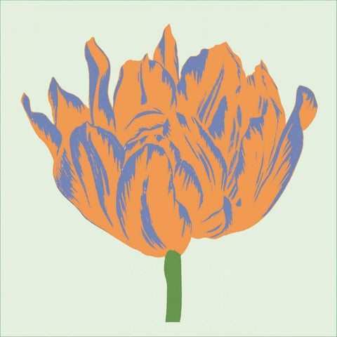 Soho Tulip III Black Ornate Wood Framed Art Print with Double Matting by Alexander, Zachary