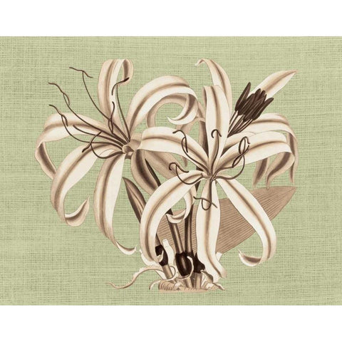 Regence Lily I Gold Ornate Wood Framed Art Print with Double Matting by Chilton, Sarah E