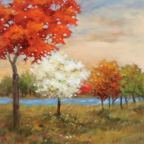 Four Seasons White Modern Wood Framed Art Print with Double Matting by Rogers, Adam