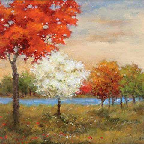 Four Seasons Black Modern Wood Framed Art Print with Double Matting by Rogers, Adam