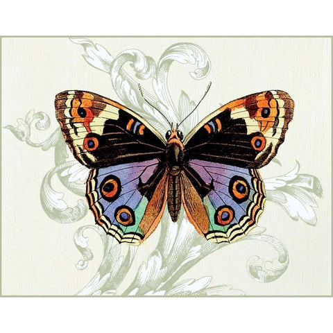 Butterfly Theme I Black Modern Wood Framed Art Print by Davies, Susan