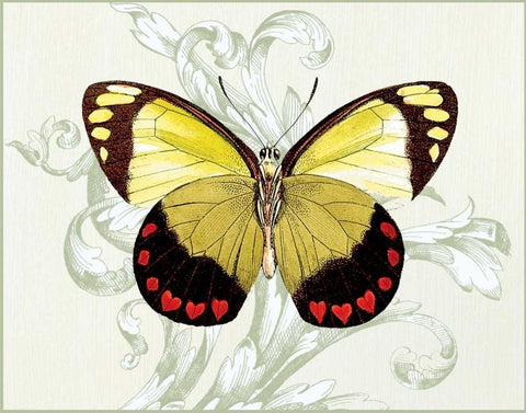 Butterfly Theme II Black Ornate Wood Framed Art Print with Double Matting by Davies, Susan