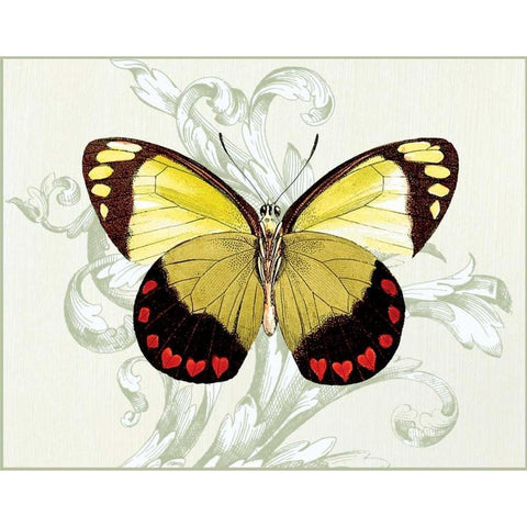 Butterfly Theme II Black Modern Wood Framed Art Print with Double Matting by Davies, Susan