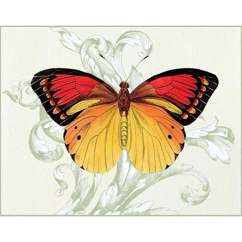 Butterfly Theme III White Modern Wood Framed Art Print by Davies, Susan