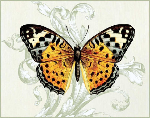 Butterfly Theme IV Black Ornate Wood Framed Art Print with Double Matting by Davies, Susan