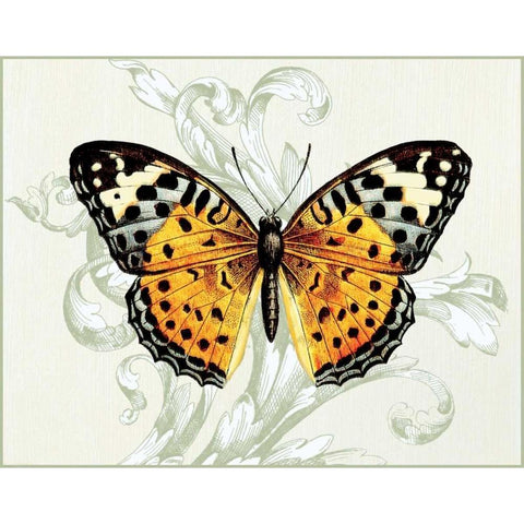 Butterfly Theme IV Black Modern Wood Framed Art Print by Davies, Susan