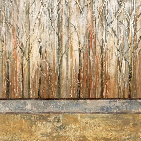 Telluride I White Modern Wood Framed Art Print with Double Matting by King, Michael