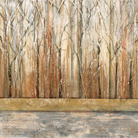 Telluride II Black Modern Wood Framed Art Print by King, Michael