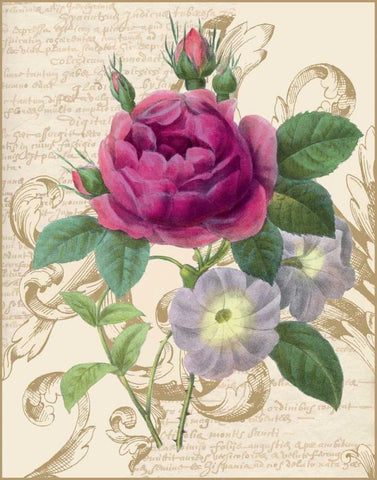 Bloomsbury II Black Ornate Wood Framed Art Print with Double Matting by Nicole, Lily