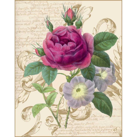 Bloomsbury II White Modern Wood Framed Art Print by Nicole, Lily