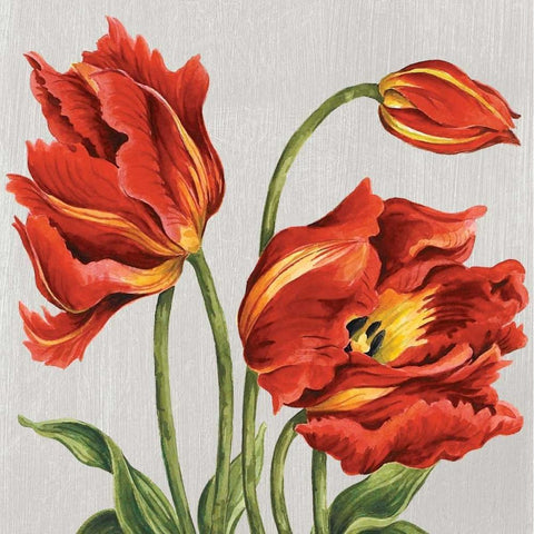 Tulips on Silk White Modern Wood Framed Art Print by Shelby, Judy