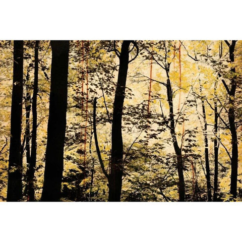 Golden Wood White Modern Wood Framed Art Print by Nicole, Lily