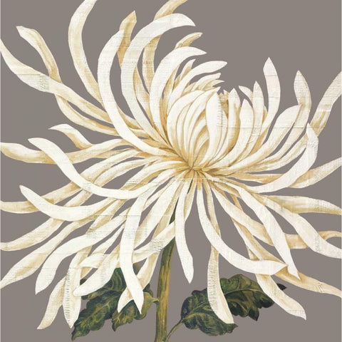Glorious Whites I White Modern Wood Framed Art Print by Shelby, Judy