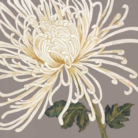 Grande and Glorious White Modern Wood Framed Art Print with Double Matting by Shelby, Judy