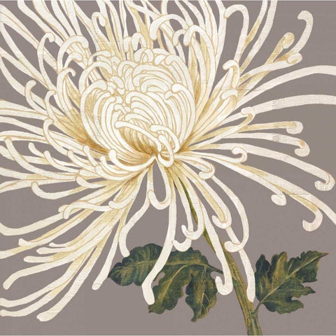 Grande and Glorious Gold Ornate Wood Framed Art Print with Double Matting by Shelby, Judy