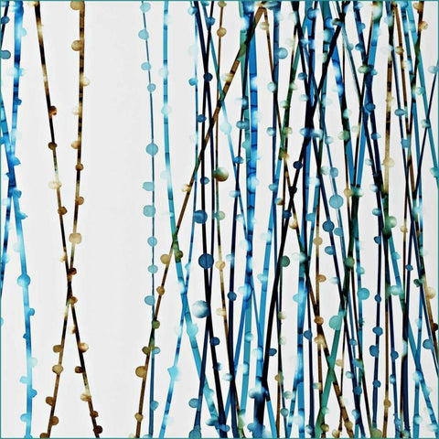 Aqua Sensations I Gold Ornate Wood Framed Art Print with Double Matting by Roth, Jack