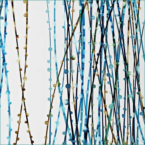 Aqua Sensations I White Modern Wood Framed Art Print with Double Matting by Roth, Jack