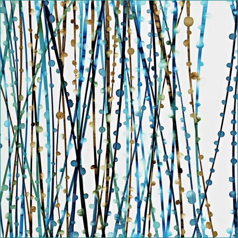 Aqua Sensations II Black Ornate Wood Framed Art Print with Double Matting by Roth, Jack