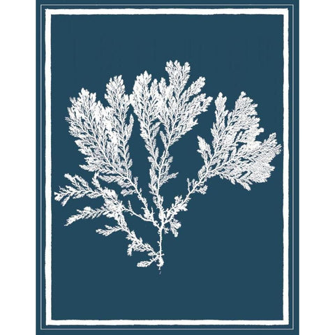 Indigo Seas I White Modern Wood Framed Art Print by Lawrence, David