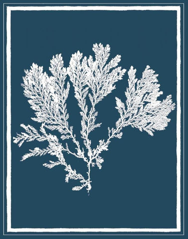 Indigo Seas I Black Ornate Wood Framed Art Print with Double Matting by Lawrence, David