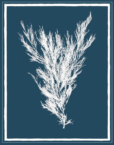 Indigo Seas II White Modern Wood Framed Art Print with Double Matting by Lawrence, David