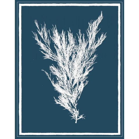 Indigo Seas II Black Modern Wood Framed Art Print by Lawrence, David