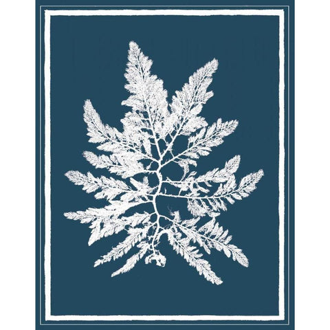 Indigo Seas III White Modern Wood Framed Art Print by Lawrence, David