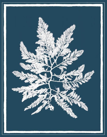 Indigo Seas III White Modern Wood Framed Art Print with Double Matting by Lawrence, David